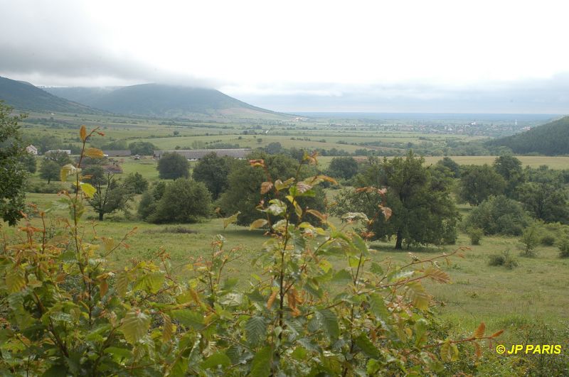 Hongrie, massif des Zemplens